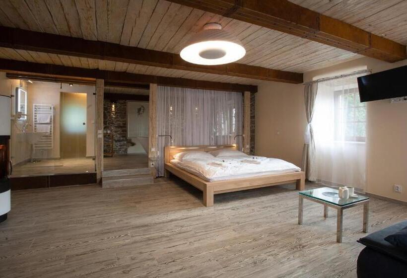 פנסיון Penzion Vejrovna