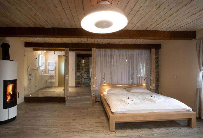 פנסיון Penzion Vejrovna