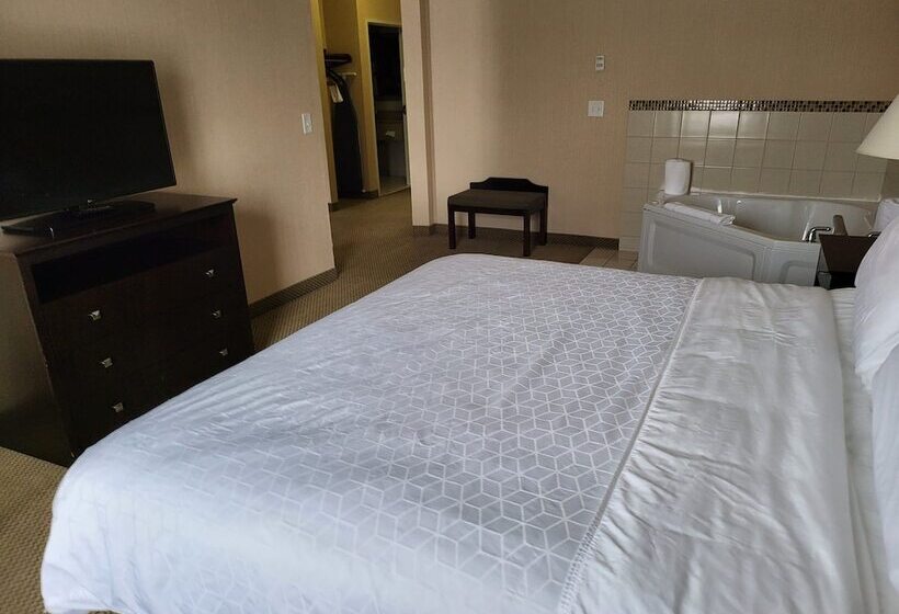 Holiday Inn Express Hotel & Suites Tipp City, An Ihg