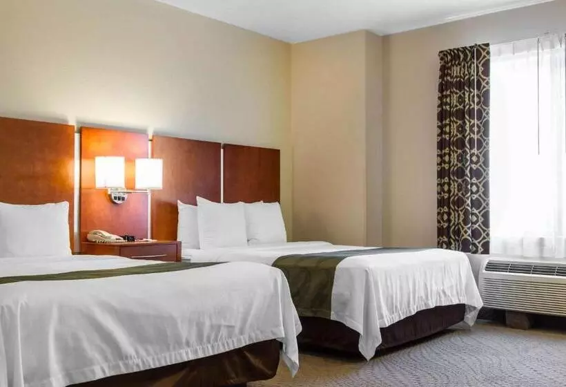 酒店 Quality Inn San Jose Airport Silicon Valley