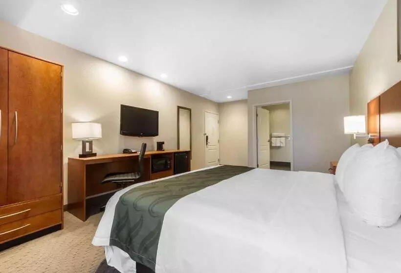 酒店 Quality Inn San Jose Airport Silicon Valley