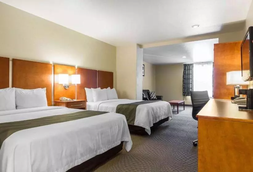 酒店 Quality Inn San Jose Airport Silicon Valley