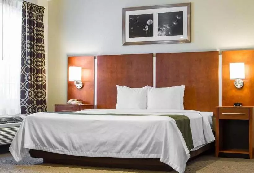 酒店 Quality Inn San Jose Airport Silicon Valley