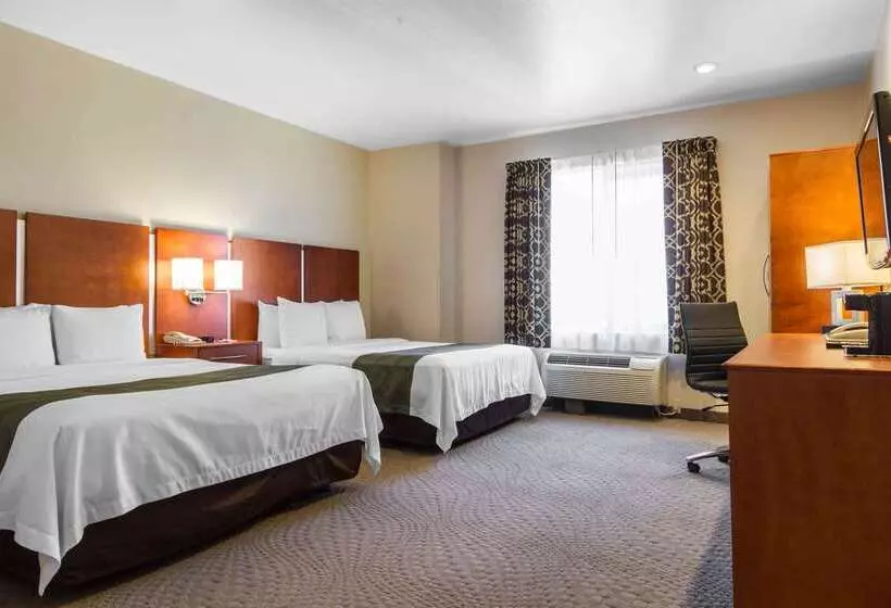 酒店 Quality Inn San Jose Airport Silicon Valley