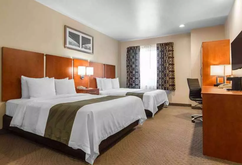 酒店 Quality Inn San Jose Airport Silicon Valley