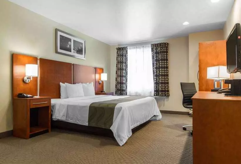 酒店 Quality Inn San Jose Airport Silicon Valley