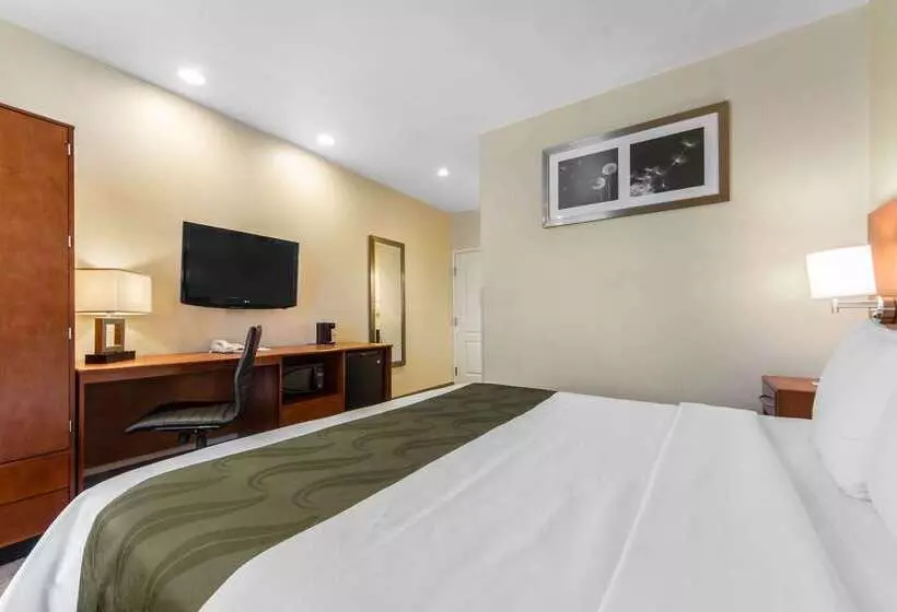 酒店 Quality Inn San Jose Airport Silicon Valley