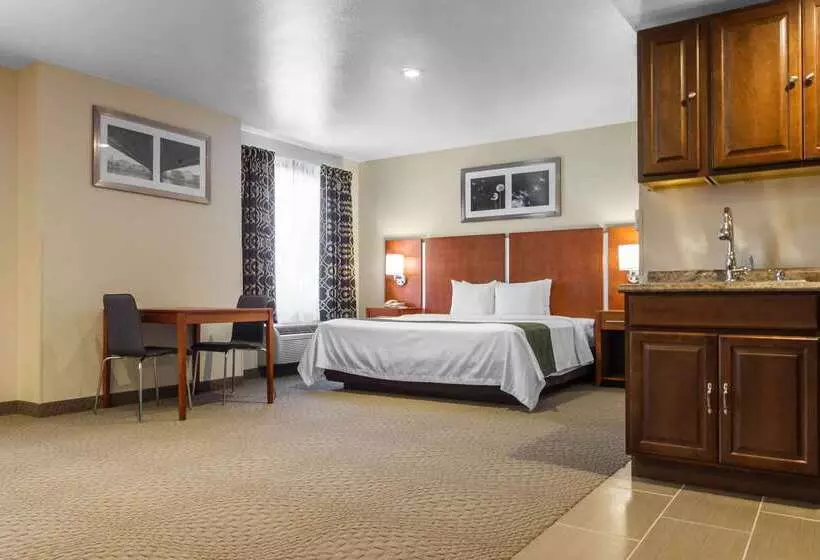 酒店 Quality Inn San Jose Airport Silicon Valley