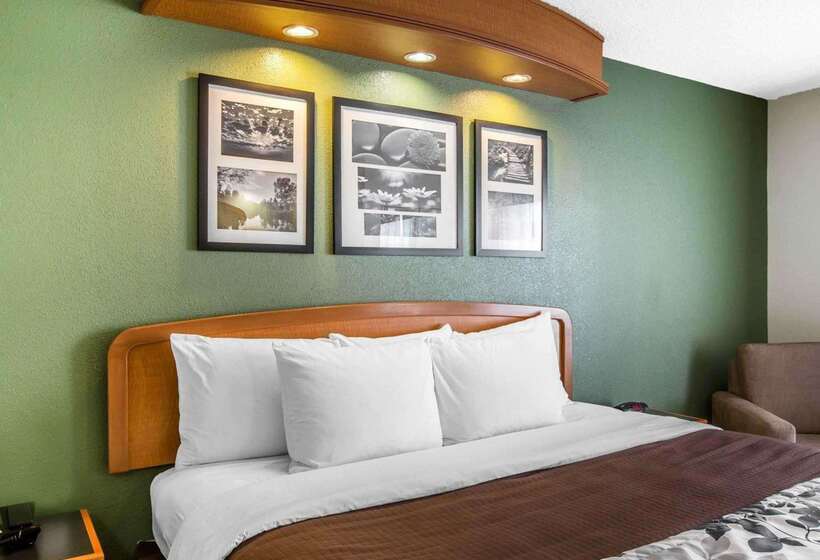 Otel Clarion Pointe Albemarle