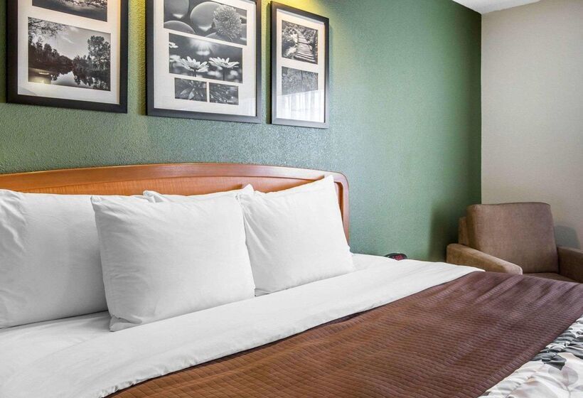 Otel Clarion Pointe Albemarle