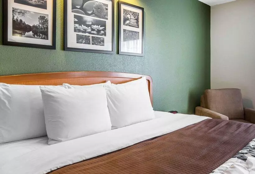 酒店 Clarion Pointe Albemarle