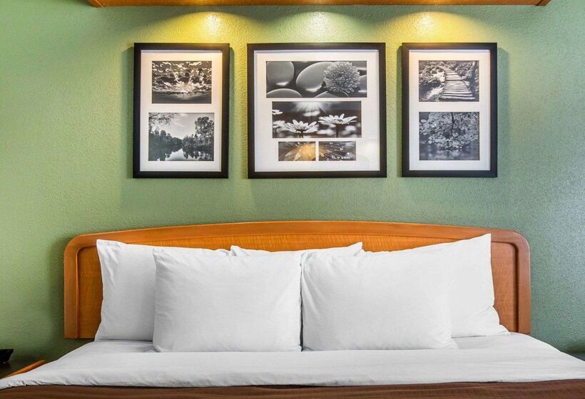 Otel Clarion Pointe Albemarle