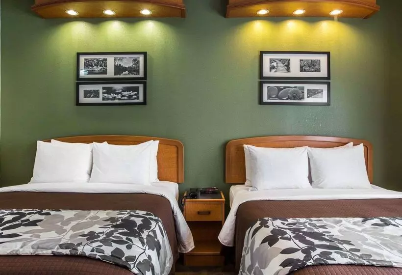 酒店 Clarion Pointe Albemarle