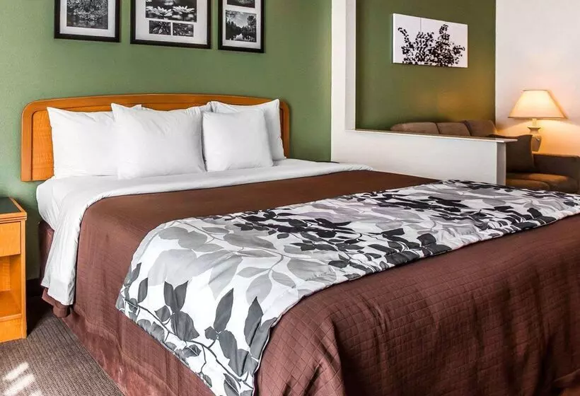 酒店 Clarion Pointe Albemarle