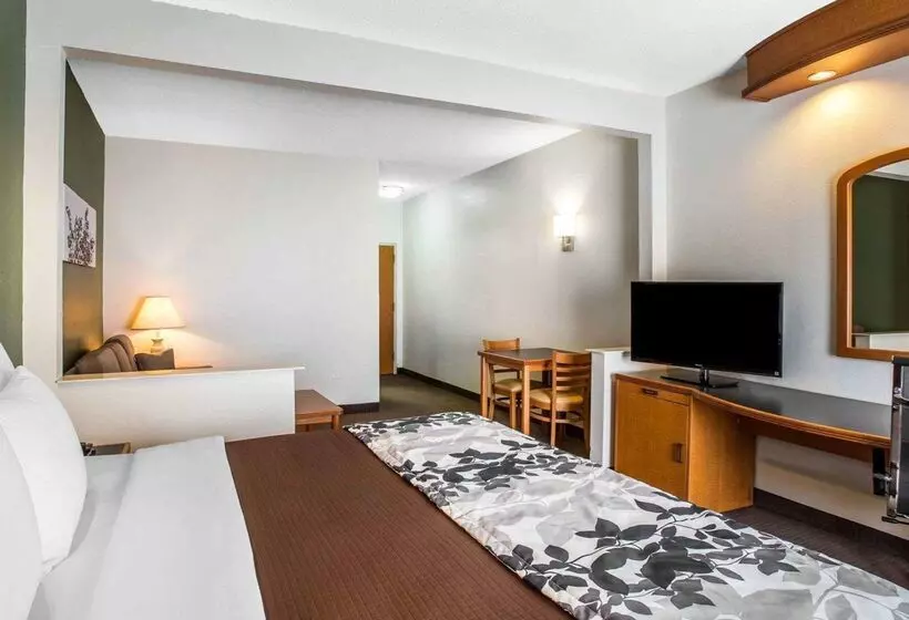 酒店 Clarion Pointe Albemarle