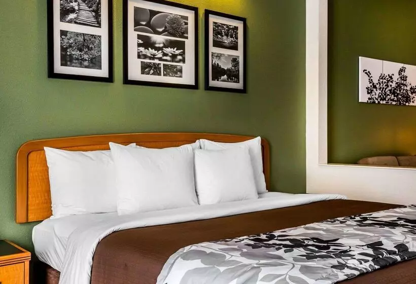 酒店 Clarion Pointe Albemarle