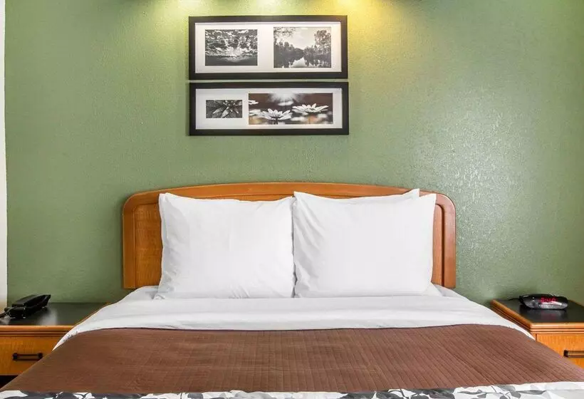 酒店 Clarion Pointe Albemarle