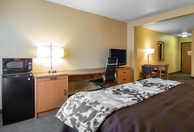 فندق Sleep Inn & Suites Sheboygan I 43