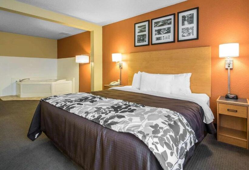 فندق Sleep Inn & Suites Sheboygan I 43