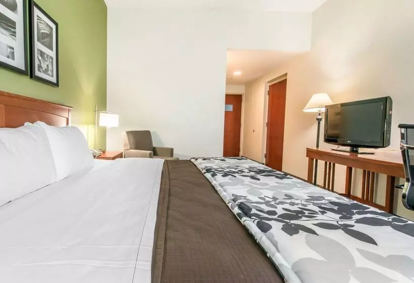 ホテル Sleep Inn & Suites