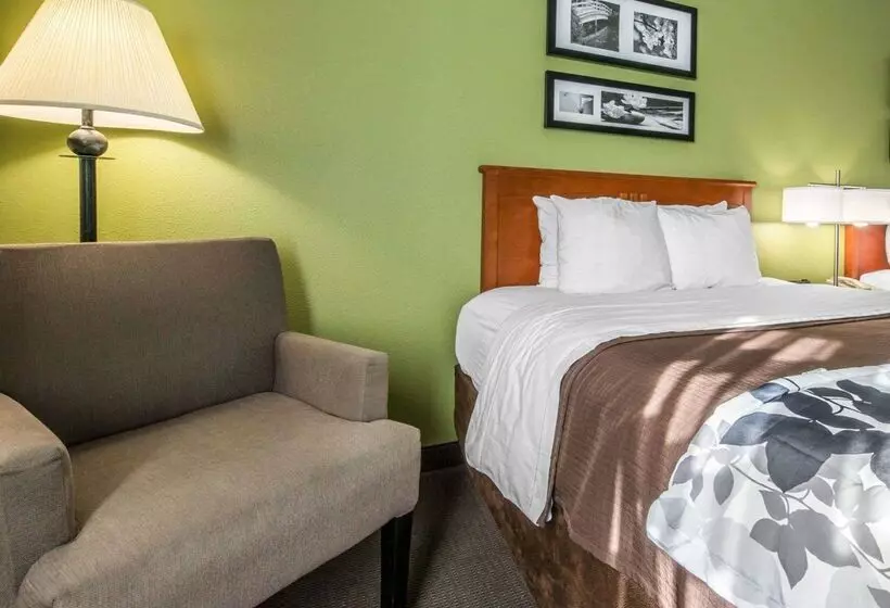 ホテル Sleep Inn & Suites