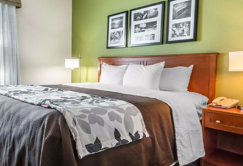 ホテル Sleep Inn & Suites