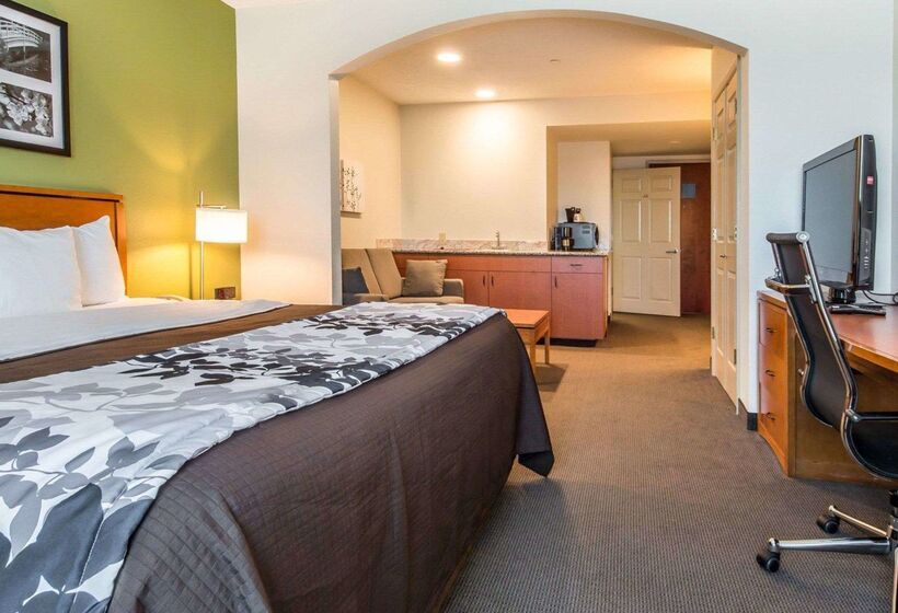 Отель Sleep Inn & Suites