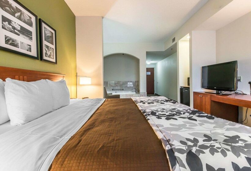 Отель Sleep Inn & Suites