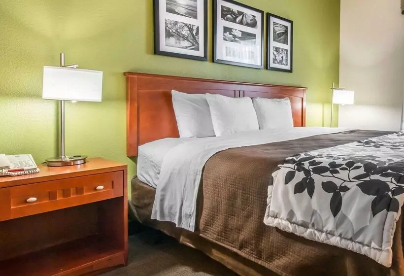 ホテル Sleep Inn & Suites