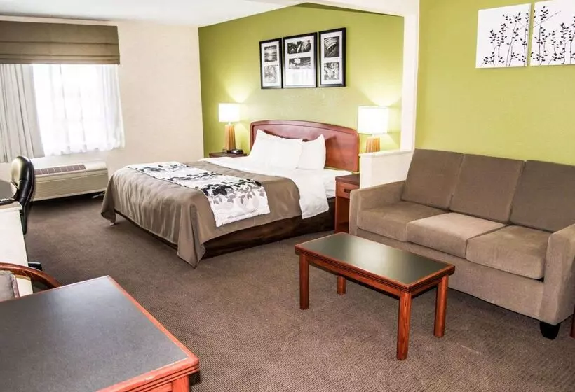 בית מלון כפרי Sleep Inn & Suites