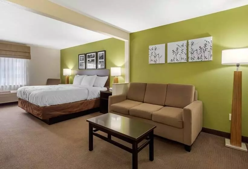 בית מלון כפרי Sleep Inn & Suites