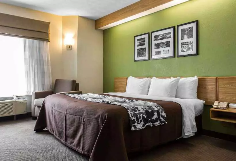 Отель Surestay By Best Western Summerville Flowertown