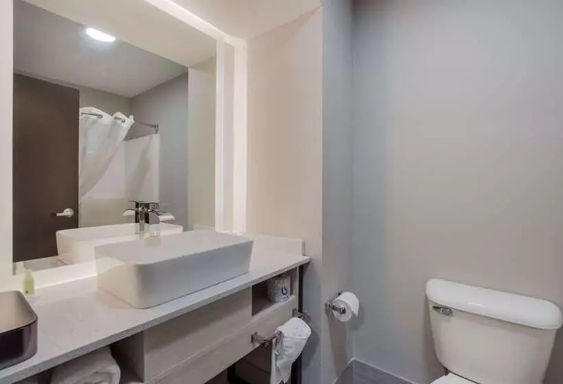 Мотель Quality Inn & Suites