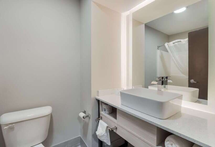 فندق على الطريق Quality Inn & Suites