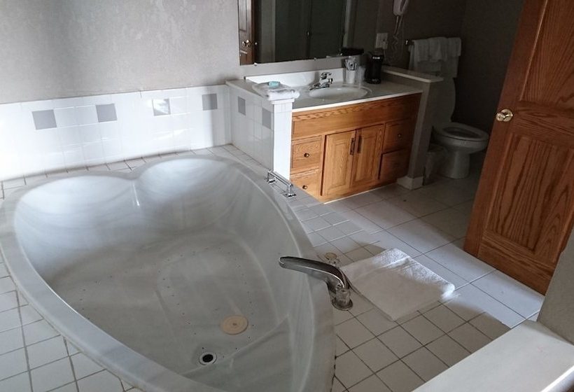 فندق على الطريق Burton Inn & Suites