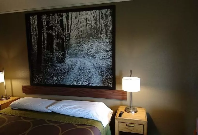 モーテル Burton Inn & Suites