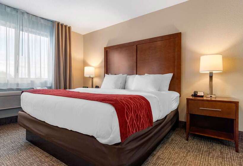 모텔 Comfort Inn & Suites South Hill I85