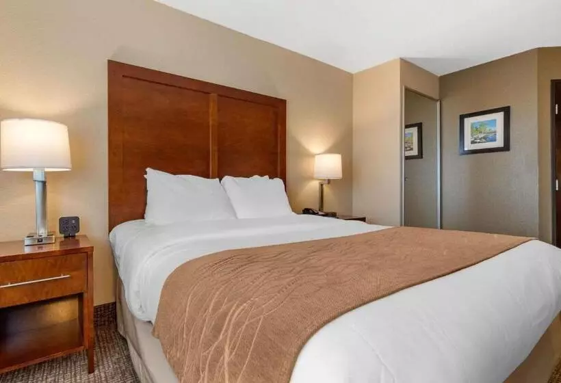 모텔 Comfort Inn & Suites South Hill I85