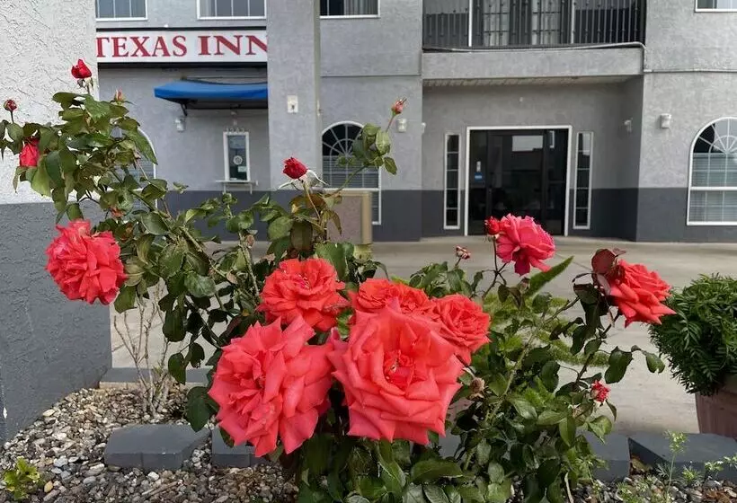 モーテル Texas Inn La Feria