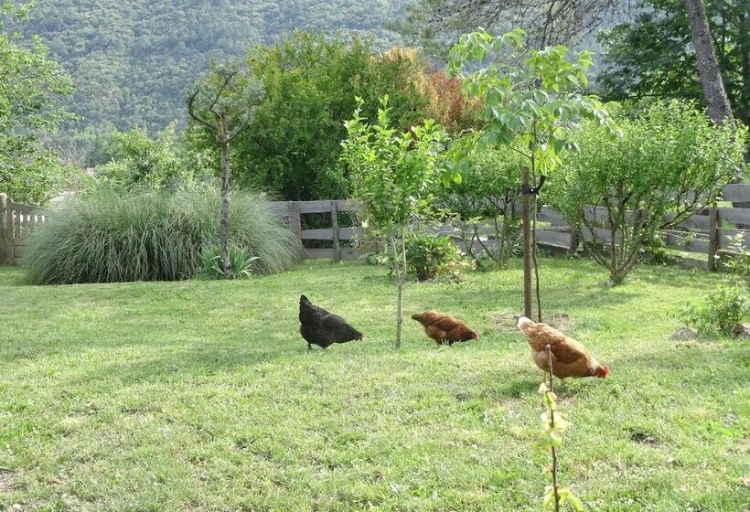 مبيت وإفطار Chambre D Hôte Le Mas Du Galibot