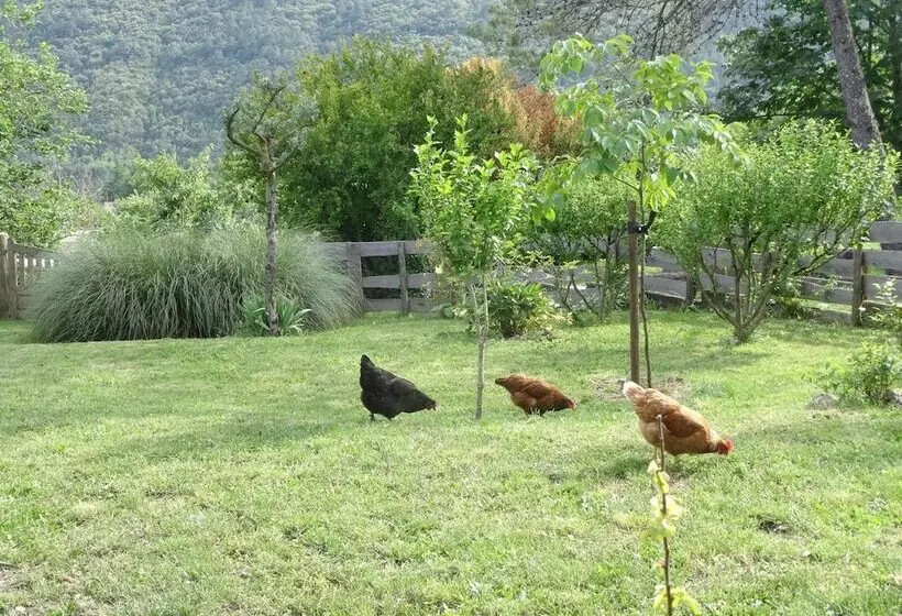 Aamiaismajoitus (B&B) Chambre D Hôte Le Mas Du Galibot