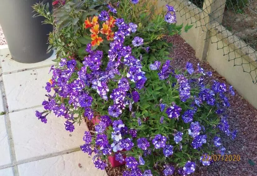 Aamiaismajoitus (B&B) La Chambre