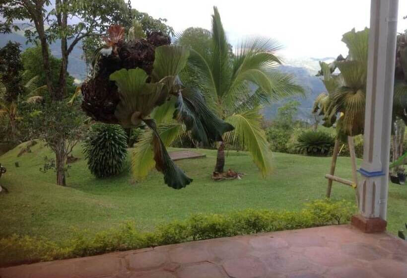 Finca Caja De Oro Fredonia