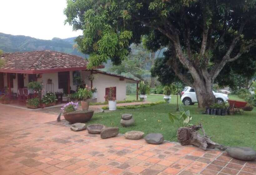 Finca Caja De Oro Fredonia