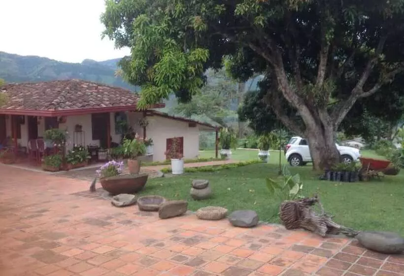 Finca Caja De Oro Fredonia
