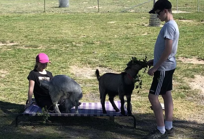 High Country Trail Rides & Farm Stay