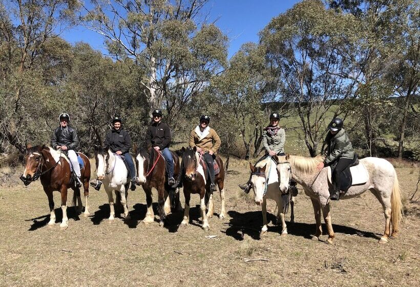 High Country Trail Rides & Farm Stay