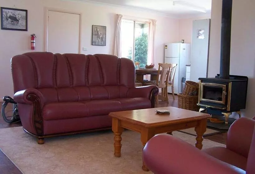 High Country Trail Rides & Farm Stay