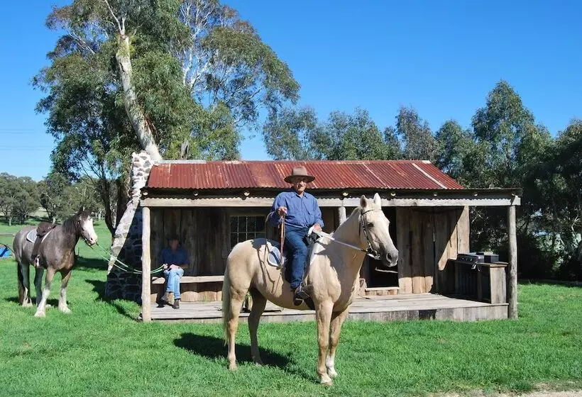 High Country Trail Rides & Farm Stay