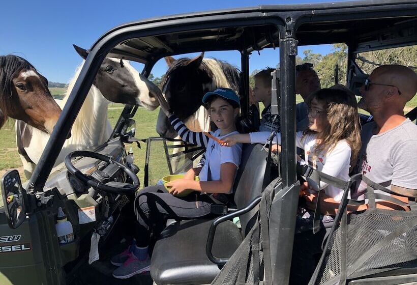 High Country Trail Rides & Farm Stay